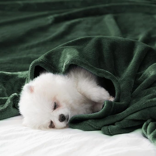 BEAUTEX Fleece Throw Blanket for Couch Sofa or Bed, Throw Size Soft Fuzzy Plush Blanket, Luxury Flannel Lap Blanket, Super Cozy and Comfy for All Seasons (Emerald Green, 50" x 60")