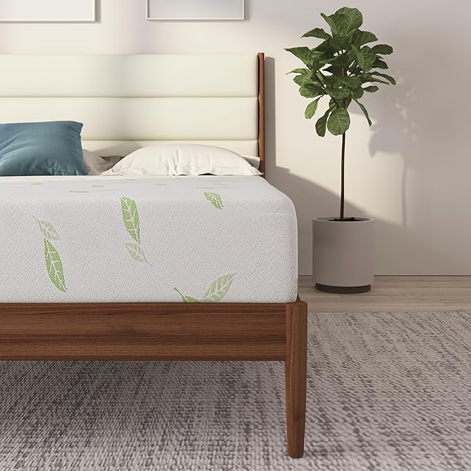 NapQueen Queen Size, 8 Inch Anula Green Tea Infused Memory Foam Mattress, Bed in a Box, CertiPUR-US Certified Mattress