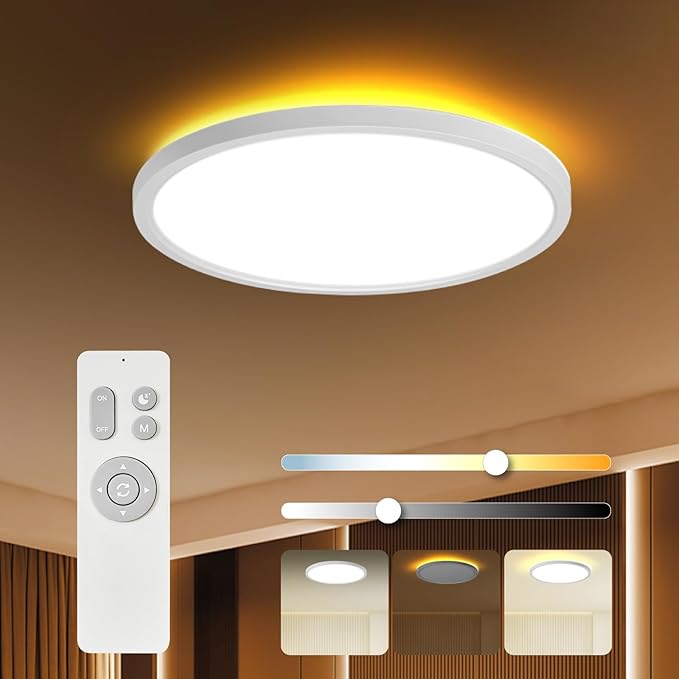 Ceiling Lights