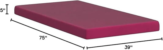 ZINUS 5 Inch Memory Foam Mattress, Bunk/Trundle/Day Bed Compatible, Twin, Pink