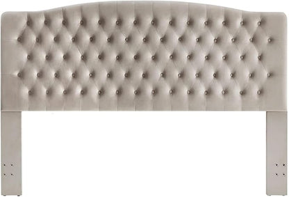 24KF Upholstered Tufted Button Velvet Headboard,Comfortable Fashional Headboard King/CA King Size,Taupe