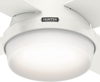 Hunter 44 inch Indoor Ceiling Fan with LED Light and Remote Control - White Modern Ceiling Fan, Low Profile Mount, 4 Blades, For Bedroom, Living Room, or Kitchen, Quiet - Dempsey 59244, Fresh White