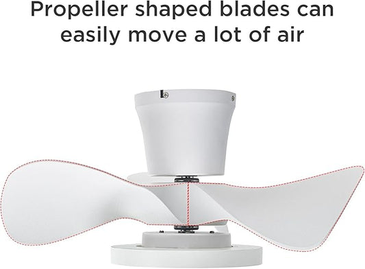 ocioc Quiet Ceiling Fan with LED Light 22 inch Large Air Volume Remote Control for Kitchen Bedroom Dining Room Patio