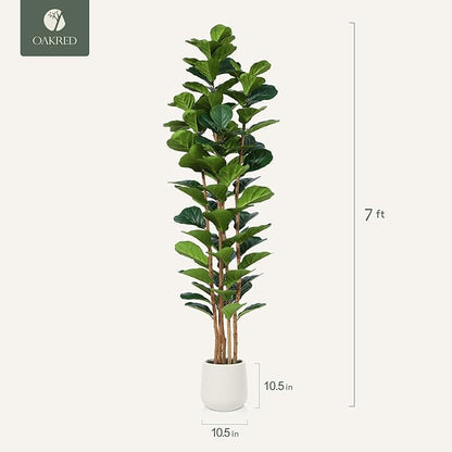 Artificial Fiddle Leaf Fig Tree with White Planter, 7ft Tall Fake Tree with Natural Wood Trunk for Home Decor, Faux Ficus Tree Fake Moss for Indoor Office Living Room