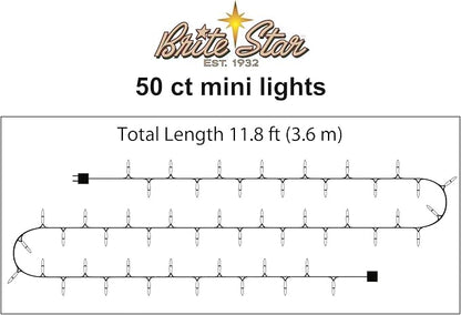 Brite Star 50 Lt String to String Lights, Clear, Green Wire