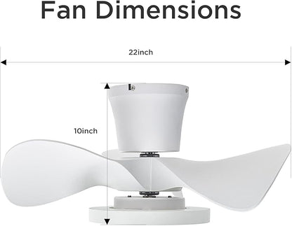 ocioc Quiet Ceiling Fan with LED Light 22 inch Large Air Volume Remote Control for Kitchen Bedroom Dining Room Patio