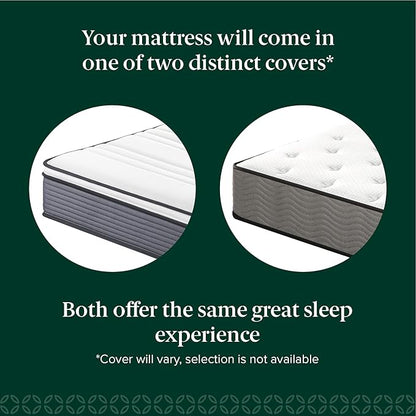 ZINUS 10 Inch True Support Hybrid Mattress [New Version], Full, Fiberglass free, Medium Feel, Motion Isolation, Certified Safe Foams & Fabric, Mattress in A Box