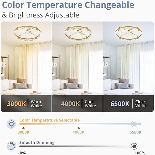 LEDIARY 2 Pack 24 Inch Modern Ceiling Fans with Lights and Remote, Dimmable Flush Mount Ceiling Fan, Gold Low Profile Ceiling Fan with 3 CCT and 6 Speeds