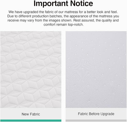 Novilla Queen Mattress, 12 Inch Queen Memory Foam Mattress for Pressure Relief & Comfort Sleep, Removable Washable Cover,CertiPUR-US Certified, Plush