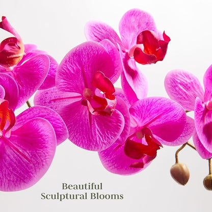 CG Hunter Faux Pink Orchid Plant, Premium Artificial Indoor Flower Display Stands 25-Inches with Beautiful Sculptural Blooms and Foliage That Lasts Forever, Grey Planter Pot Included