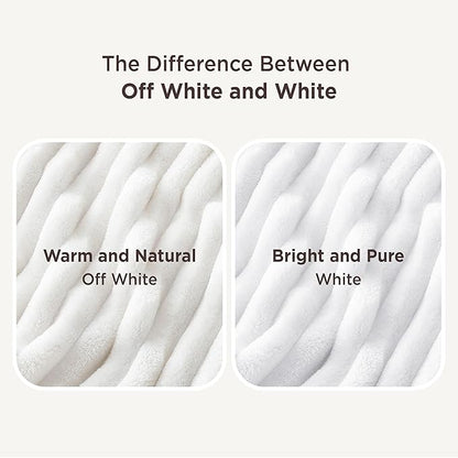 Bedsure GentleSoft Blankets Queen Size for Bed - Cozy Soft Sofa Couch Cover Blankets for Women, Cute Large Bedding Fleece Throws for Girls, Off White, 90x90 Inches