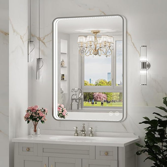 LED Bathroom Mirror with Lights,20x28 Inch Brushed Silver Framed Lighted Vanity Mirror,Anti Fog Stepless Dimmable Wall Mounted(Horizontal/Vertical)