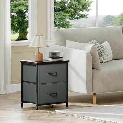 Somdot Nightstand Set of 2, Small Dresser for Bedroom with 2 Drawers, Bedside Table Night Stand End Table with Fabric Bins for Bedroom Kids Closet Dorm Guest Room, Charcoal Grey