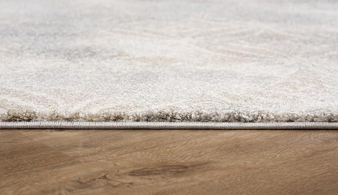 RUG BRANCH New Zealand Plush 4' x 6' (3'9" X 5'6") Scandinavian Indoor Area Rug, Contemporary, Grey Brown - Living Room, Bedroom, Dining Room, and Kitchen