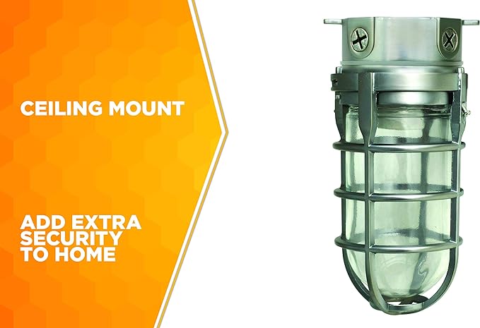 Woods L1706 Vandal Resistant Security Light With Ceiling Mount (150W Incandescent Bulb; Silver)
