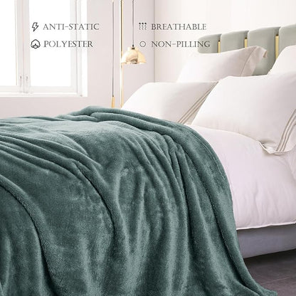 Exclusivo Mezcla Plush Fuzzy Fleece Bed Blanket King Size, Super Soft, Fluffy and Warm Blankets, Suitable for All Seasons (Celadon, 90x104 Inches)