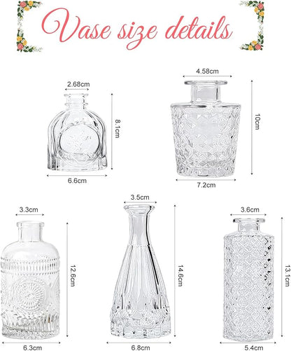 5 Pack Glass Bud Vases - Mini Glass Vases for Room Decor, Centerpieces, Shelf and Wedding Decor - NO Flowers