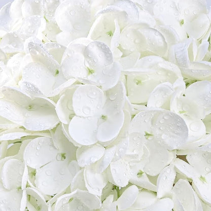 6 Pcs Real Touch Hydrangea Artificial Flowers, 21" White Full Faux Hydrangea Flowers Latex Fake Flowers for Home Decor Party Floral Arrangements Wedding Bouquets Centerpieces Outdoor Decor