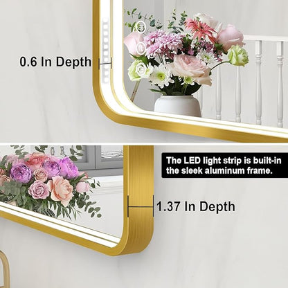 LED Bathroom Mirror with Lights, 40x28 Inch Gold Metal Framed LED Mirror for Bathroom, 3 Colors and Stepless Dimmable Wall Mounted Lighted Bathroom Vanity Mirror, Anti-Fog, Memory
