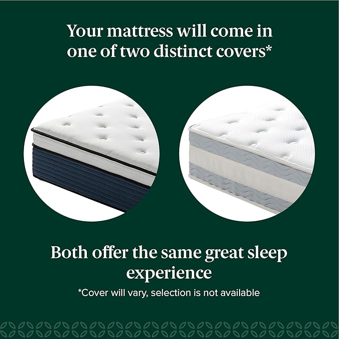 ZINUS 12 Inch Comfort Support Hybrid Mattress [New Version], King, Fiberglass Free, Medium Plush, Motion Isolation, Certified Safe Foams & Fabric, Mattress in A Box