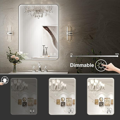 LED Bathroom Mirror with Lights,24x32 Inch Brushed Silver Framed Lighted Vanity Mirror,Anti Fog Stepless Dimmable Wall Mounted(Horizontal/Vertical)