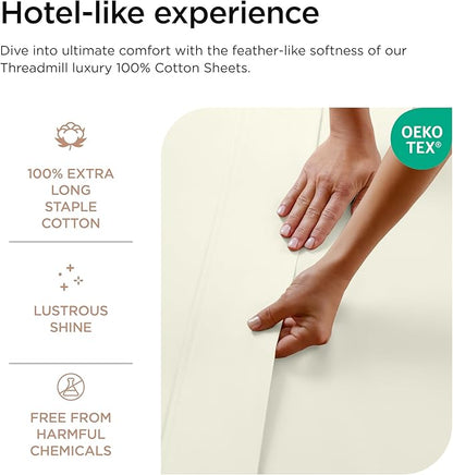 Threadmill Luxury 800 Thread Count 100% Cotton Sheets - Sateen Weave Twin XL Bed-Sheets, Better Than Egyptian Cotton,3 Pc Solid Soft Bedding Set (Ivory), Fits 15" Deep Pocket