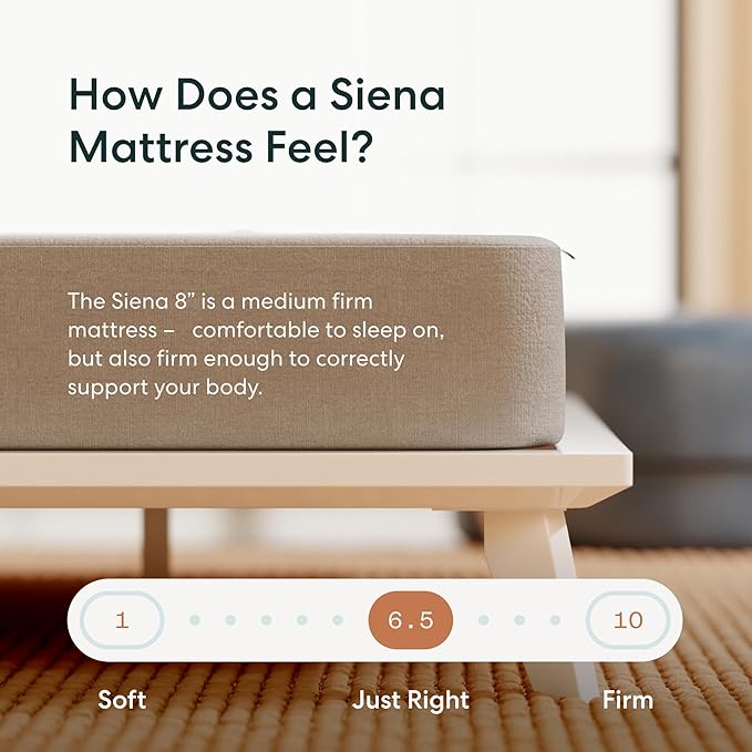 Siena 8” Twin XL Mattress with Adjustable Base - Head & Foot Incline - Medium Firm Gel Memory Foam - Premium Pressure Relieving Layers - Wireless Remote with Memory - Zero Clearance - Zero Gravity