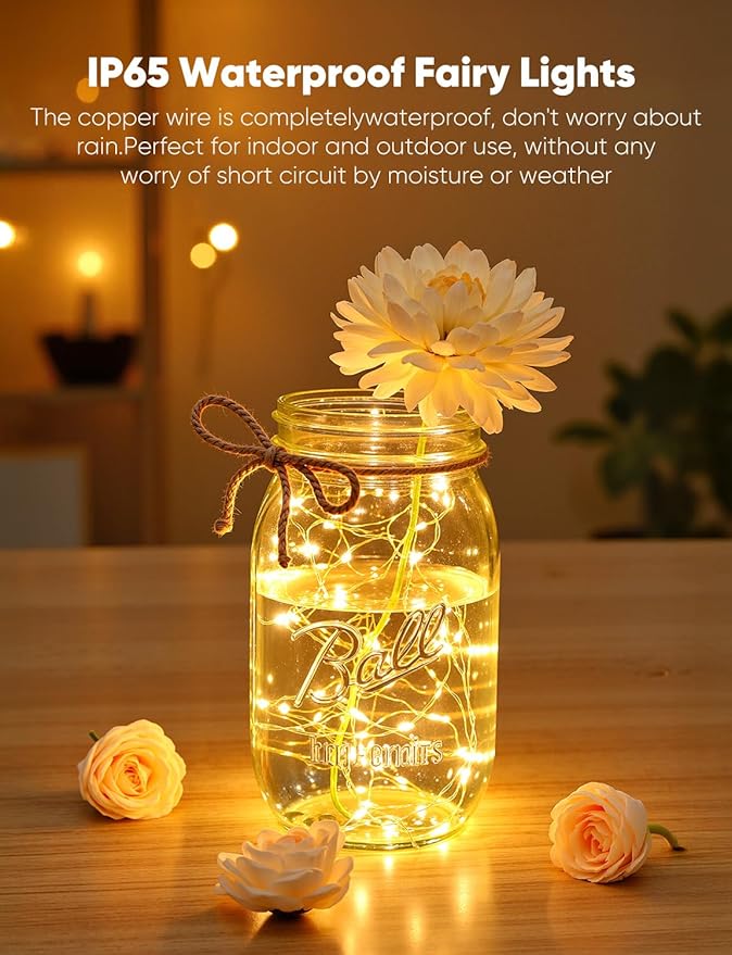 Brightown 24 Pack LED Fairy Lights Battery Operated String Lights, 7ft 20LED Waterproof Silver Wire String Lights, Firefly Starry Moon Lights for Mason Jars DIY Christmas Wedding Party Bedroom