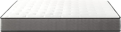 ZINUS 10 Inch Support Plus Pocket Spring Hybrid Mattress, Queen, Strong Coils for Durable Support, Pocket Innersprings for Motion Isolation, Mattress in A Box