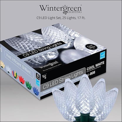 C9 LED Faceted Cool White Prelamped Light Set, Green Wire - 25 C9 Cool White LED Christmas Lights, 8" Spacing