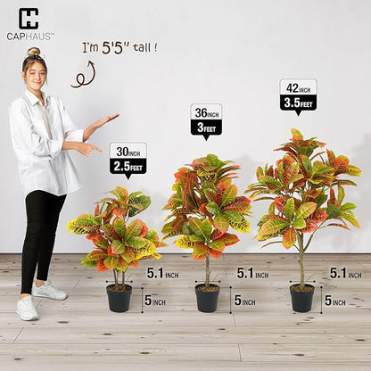 Fencer Wire 36 Inch Artificial Topiary Croton Tree, UV Resistant Artificial Outdoor Plants, Faux Bushes and Shrub, Fake Trees in Pot with Dried Moss, Artificial Plants for Front Porch, Indoor, Outdoor