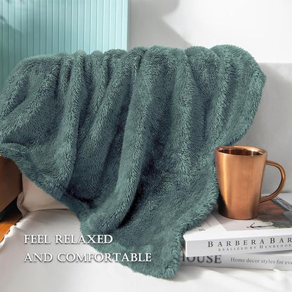 Exclusivo Mezcla Plush Fuzzy Fleece Bed Blanket Twin Size, Super Soft, Fluffy and Warm Blankets, Suitable for All Seasons (Celadon, 90x66 Inches)