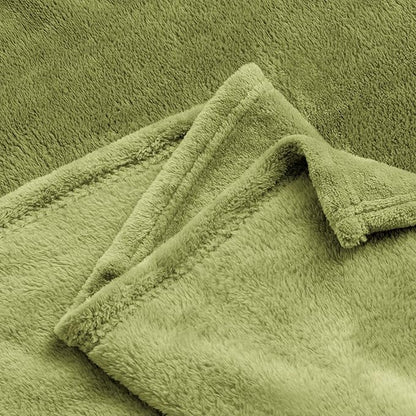 BEDELITE Fleece Blankets Queen Size Sage Green Throw Blankets for Bed, Luxury Plush Cozy Fuzzy Blanket 90x90 inches, Super Soft Warm Lightweight Throw Blanket All Seasons Suitable