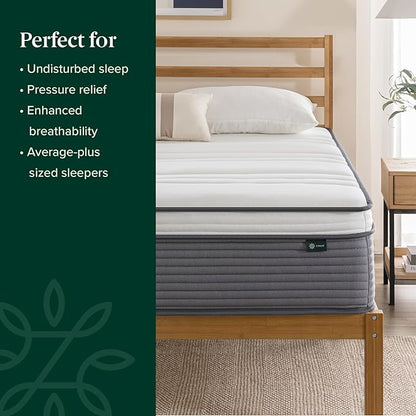 ZINUS 12 Inch True Support Hybrid Mattress [New Version], Queen, Fiberglass Free, Medium Feel, Motion Isolation, Certified Safe Foams & Fabric, Mattress in A Box