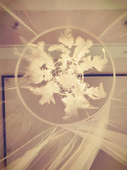 Bed Canopy with Double Circle White Feather Dream Catcher and 50 LED Fairy String Lights, Mosquito Net - Unique Style Dome Bed Netting Canopy Curtains Canopy - Suggested for Twin Full Queen King Bed
