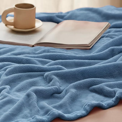 Bedsure GentleSoft Fleece Blankets Queen Size Washed Blue - Bed Blanket Soft Lightweight Plush Fuzzy Cozy Luxury Microfiber, 90x90 inches