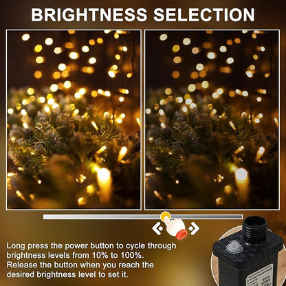 RPGT Christmas Light 100 LEDs 41ft Green Cable Wire Fairy String Twinkle Lights Plug in 12 Modes for Xmas Tree, Party, Indoor,Outdoor, Garden, Wedding, Home Decoration (Warm White)