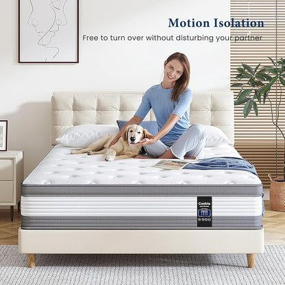 Coolvie Queen Mattress 12 Inch Queen Size Mattresses in A Box Hybrid Mattress Individual Pocket Springs Mattresses with Memory Foam Layer Medium Firm Provide Motion Isolation & Cool Sleep