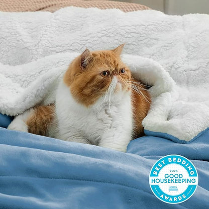 Bedsure GentleSoft Sherpa Fleece Throw Blanket Twin Size for Couch - Thick and Warm Throw for Women and Men, Soft Fuzzy Plush Twin Blanket for Winter, Washed Blue, 60x80 Inches