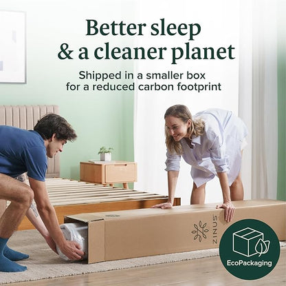 ZINUS 10 Inch Queen Green Tea Memory Foam Mattress [New Version], Fiberglass free, Medium Firm Feel, Zoned Pressure Relief, Certified Safe Foams & Fabric, Mattress in A Box