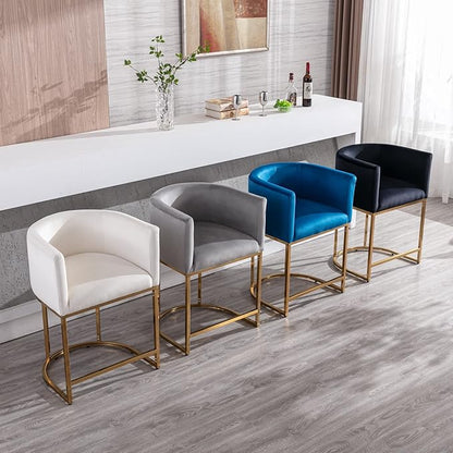Modern Counter Height Velvet Upholstered Bar Stools Set of 2, 24" Kitchen Counter Island Stools Bar Chairs with Gold Metal Frame for Kitchen Island, Gray