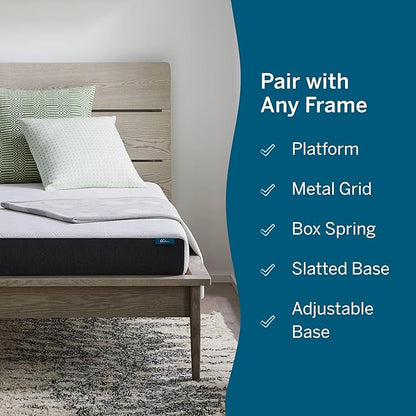 Lucid 6 Inch Memory Foam Mattress – Low Profile – Medium Firm Feel - Infused with Bamboo Charcoal and Gel - Bed in a Box - Temperature Regulating - Breathable - Twin XL Size