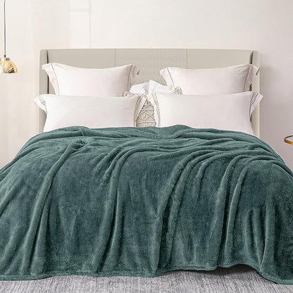 Exclusivo Mezcla Plush Fuzzy Fleece Bed Blanket Twin Size, Super Soft, Fluffy and Warm Blankets, Suitable for All Seasons (Celadon, 90x66 Inches)