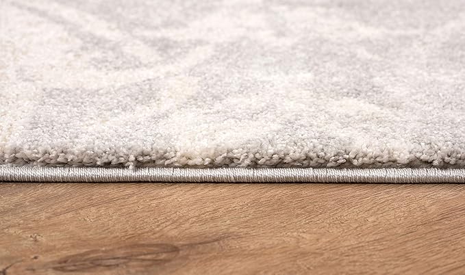 RUG BRANCH New Zealand Plush 4' x 6' (3'9" X 5'6") Modern Indoor Area Rug, Contemporary, Grey Beige - Living Room, Bedroom, Dining Room, and Kitchen