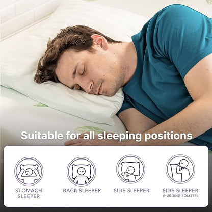 NapQueen Queen Size, 6 Inch Anula Green Tea Infused Memory Foam Mattress, Bed in a Box, CertiPUR-US Certified Mattress