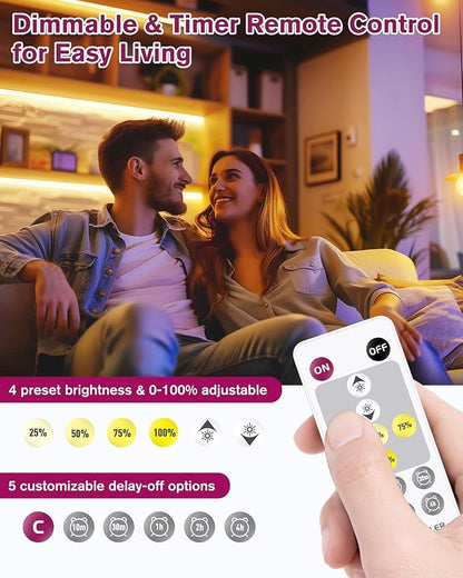 EMITEVER COB LED Strip Lights Kit Warm White with Remote & 24V Power Supply,16.4ft Dimmable Tape Light 3000K, High Density 2400LEDs, 305+LM/FT, CRI90+, Suitable for Bedroom Kitchen Cabinet Lighting