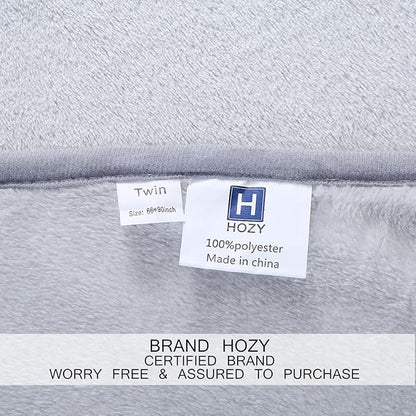 Soft Twin Size Blanket All Season Warm Fuzzy Microplush Lightweight Thermal Fleece Blankets for Couch Bed Sofa,66x90 Inches,Gray