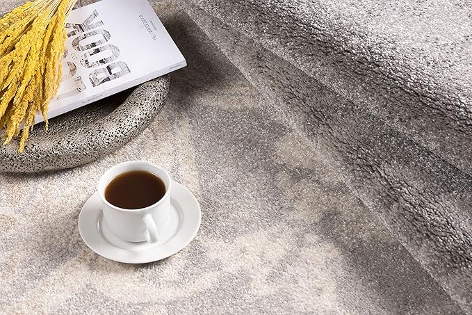 RUG BRANCH New Zealand Plush 4' x 6' (3'9" X 5'6") Modern Indoor Area Rug, Contemporary, Grey Beige - Living Room, Bedroom, Dining Room, and Kitchen
