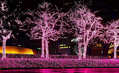 612 Vermont 100 Pink Christmas Lights on a White Wire String, UL Approved, Indoor/Outdoor Use, 18’ of Lighted Length, 20’ of Total Length