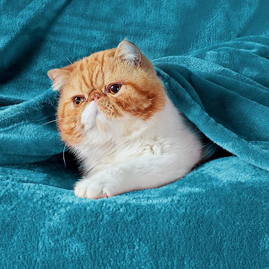 Bedsure GentleSoft Fleece Blanket Twin Size Teal - 300GSM Lightweight Plush Fuzzy Cozy Soft Warm Blanket for Bed, Sofa, Couch, Travel, Camping, 60x80 inches